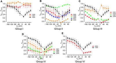 Charge and lipophilicity are required for effective block of the hair-cell mechano-electrical transducer channel by FM1-43 and its derivatives